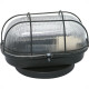 Luminaria Tartaruga Ferro/Vidro Pr Jr Ilum Luminaria Tartaruga Ferro/Vidro Pr Jr Ilum