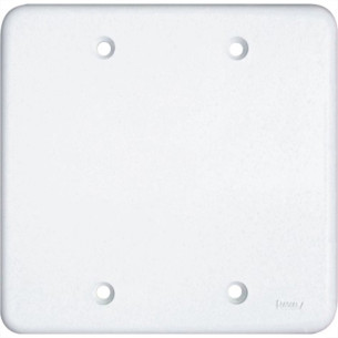 Espelho Placa Radial Pollar 1702017 4X4 Cego