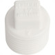 Plug Plastilit Rr 1/2 X 1/2 Branco - Kit C/50 Unidades Plug Plastilit Rr 1/2 X 1/2 Branco - Kit C/50 Unidades