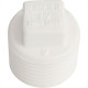 Plug Plastilit Rr 3/4 X 3/4 Branco - Kit C/50 Unidades Plug Plastilit Rr 3/4 X 3/4 Branco - Kit C/50 Unidades
