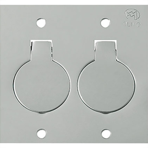 Espelho Placa P/Piso Inox 4X4 2Tom Red Olivo Pll82 Espelho Placa P/Piso Inox 4X4 2Tom Red Olivo Pll82