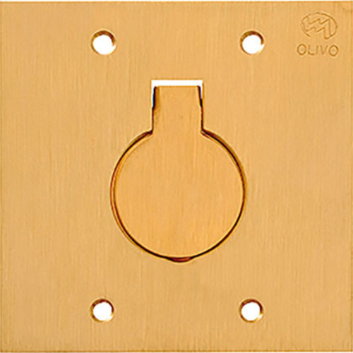 Espelho Placa P/Piso Latao 4X4 1Tomada Red Olivo Ll10 Espelho Placa P/Piso Latao 4X4 1Tomada Red Olivo Ll10