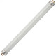 Lampada Fluorescente 10W T8 Ecolume 290 Lampada Fluorescente 10W T8 Ecolume 290