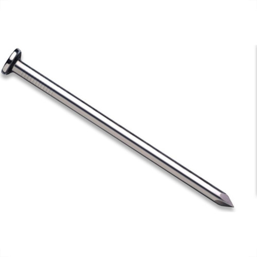 Prego Polido Healer Com Cabeca 08X08 (1,20X18mm) (1,20X18mm) 10 Pacotes/ 50G 5259 Prego Polido Healer Com Cabeca 08X08 (1,20X18mm) (1,20X18mm) 10 Pacotes/ 50G 5259