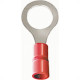 Pre-Isolado Crimper Anel 0,5/1,5 Vermelho M 8 Tp218 100pcs An2422-C Pre-Isolado Crimper Anel 0,5/1,5 Vermelho M 8 Tp218 100pcs An2422-C
