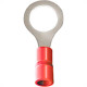 Pre-Isolado Crimper Anel 0,5/1,5 Vermelho M10 6906 100pcs An2423C Pre-Isolado Crimper Anel 0,5/1,5 Vermelho M10 6906 100pcs An2423C