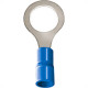 Pre-Isolado Crimper Anel 1,5/2,5 Azul M10 6926 100pcs An2438-C Pre-Isolado Crimper Anel 1,5/2,5 Azul M10 6926 100pcs An2438-C