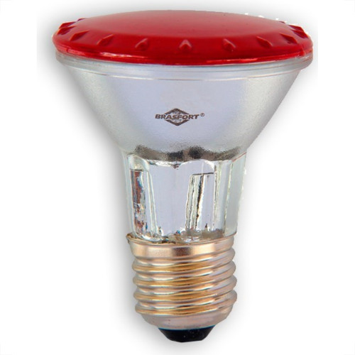 Lampada Halogena Par 20 Brasfort 50W X 220V Vermelha 7290 Lampada Halogena Par 20 Brasfort 50W X 220V Vermelha 7290