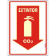 Placa Sinalizacao Pvc 20X30 ''Extintor Co2'' Fluorescente 250Bs