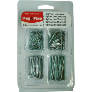 Cartela Prego Galvanizado Peg&Fixe Kit 120 Gramas  Akit/61