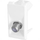 Modulo Pial Pop Branco 1 Tomada Tv Tipo Lg060