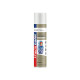 Chemicolor Spray Chemic.Geral Verniz 400Ml