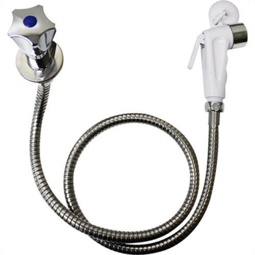 Higiban Ducha Higienica Hig,C/Rg,Met.Cr/Bc Higiban Ducha Higienica Hig,C/Rg,Met.Cr/Bc