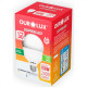 Ourolux Lamp Led A.Fat. 30W 6,5K E27