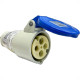 Acoplamento Industrial Femea Steck Newkon 3 Polos+Terra 200V. A 250V. 32A. Azul N4259