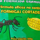 Repelente Formiga Rainha Verde C/10 50Gr Repelente Formiga Rainha Verde C/10 50Gr