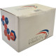 Parafuso Metrico Nfix Panela Phillips 3X06 - Kit C/5 Centos Parafuso Metrico Nfix Panela Phillips 3X06 - Kit C/5 Centos
