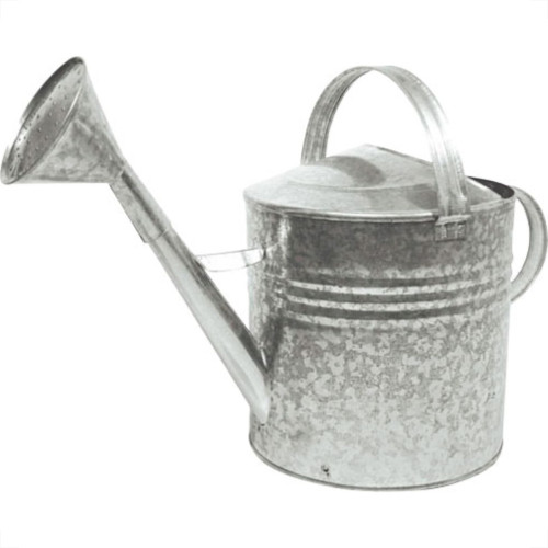 Regador Galvanizado N.10 Regador Galvanizado N.10