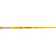 Pincel Tigre Chato Ref: 815 X 10 - Kit C/12 PC