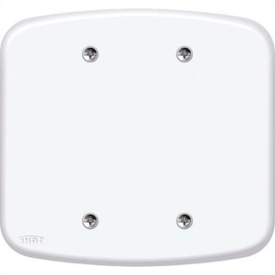 Espelho Placa Fame Blanc 02 867 F00/F08 Cego 4X4