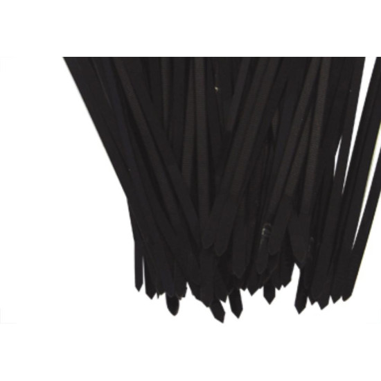 Abracadeira Nylon Brasfort 2,5X100 Preto C/100 Abracadeira Nylon Brasfort 2,5X100 Preto C/100