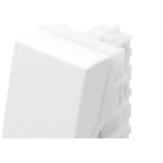 Modulo Fame Evidence 2866 Campa.