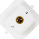 Plafon Decora Pvc Interneed Branco Qd S.Porc Plafon Decora Pvc Interneed Branco Qd S.Porc