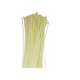 Abracadeira Nylon Brasfort 4,8X500 Branco C/100 Abracadeira Nylon Brasfort 4,8X500 Branco C/100