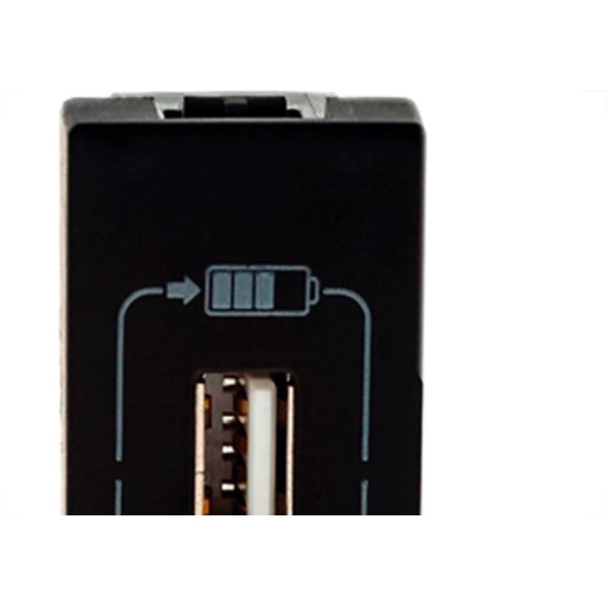 Modulo Pial Plus+ Preto 1Tomada  Usb 1100Ma88Pt