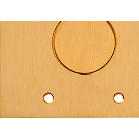 Espelho Placa P/Piso Latao 4X4 1Tomada Red Olivo Ll10 Espelho Placa P/Piso Latao 4X4 1Tomada Red Olivo Ll10