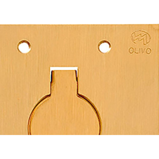 Espelho Placa P/Piso Latao 4X4 1Tomada Red Olivo Ll10 Espelho Placa P/Piso Latao 4X4 1Tomada Red Olivo Ll10