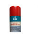 Galvanizaçao Frio Spray 300Ml Biolub Galvanizaçao Frio Spray 300Ml Biolub