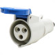 Acoplamento Strahl 2P+T 32A 220/240 Azul 3256B Acoplamento Strahl 2P+T 32A 220/240 Azul 3256B