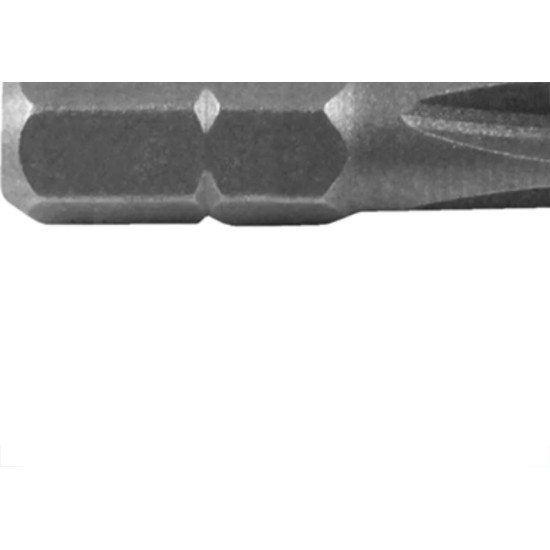 Ponteira Ancora 02X25Mm Phillips - Kit C/50 Unidades