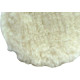 Boina Politriz La Carneiro Compel 08'' 0.2202 Boina Politriz La Carneiro Compel 08'' 0.2202