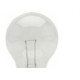 Lampada Incandescente Baixa Voltagem Brasfort 25 X 12V 8563 Lampada Incandescente Baixa Voltagem Brasfort 25 X 12V 8563
