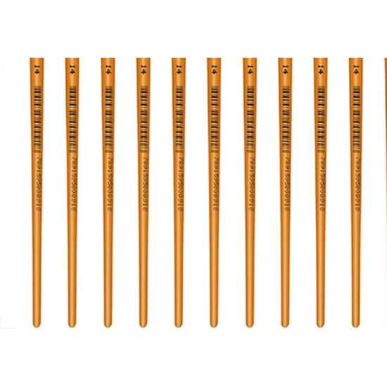 Pincel Para Artesanato Roma Ponta Chata 14 615 14 - Kit C/12 