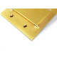 Placa Perlex 4X4 (2 Saida+2 Saida)