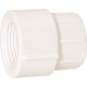 Luva Branca Amanco Reducao Rosca/Rosca 3/4X1/2 11728 - Kit C/25 Luva Branca Amanco Reducao Rosca/Rosca 3/4X1/2 11728 - Kit C/25