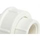 Uniao Branca Amanco Rosca/Rosca 3/4'' X 3/4'' 10216/11871 - Kit C/20 Uniao Branca Amanco Rosca/Rosca 3/4'' X 3/4'' 10216/11871 - Kit C/20