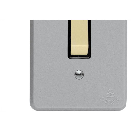 Conjunto Perlex 4X2 Cinza Com Placa(1Simples ) 1381