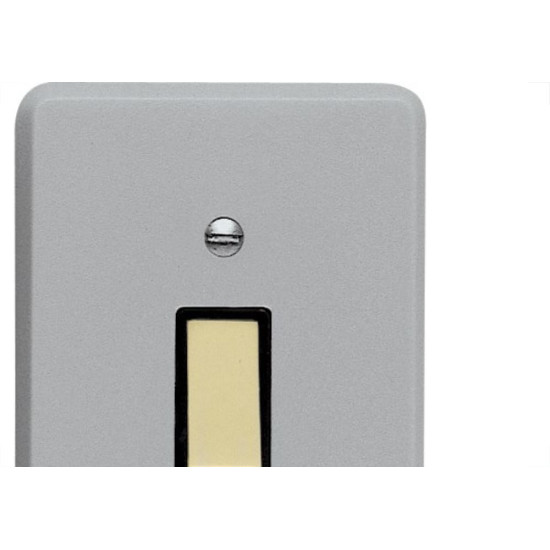 Conjunto Perlex 4X2 Cinza Com Placa(1Simples ) 1381