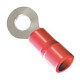 Pre-Isolado Crimper Anel 0,5/1,5 Vermelho M 3 Tp213 100pcs An2417-C Pre-Isolado Crimper Anel 0,5/1,5 Vermelho M 3 Tp213 100pcs An2417-C