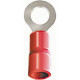 Pre-Isolado Crimper Anel 0,5/1,5 Vermelho M 4 Tp214 100pcs An2419-C Pre-Isolado Crimper Anel 0,5/1,5 Vermelho M 4 Tp214 100pcs An2419-C