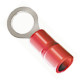 Pre-Isolado Crimper Anel 0,5/1,5 Vermelho M 5 Tp215 100pcs An2420-C Pre-Isolado Crimper Anel 0,5/1,5 Vermelho M 5 Tp215 100pcs An2420-C