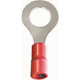 Pre-Isolado Crimper Anel 0,25/1,60 Vermelho M 6 Tp216 100pcs An2421-C Pre-Isolado Crimper Anel 0,25/1,60 Vermelho M 6 Tp216 100pcs An2421-C