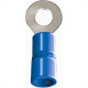 Pre-Isolado Crimper Anel 1,5/2,5 Azul M 3 Tp223 100pcs An2432-C Pre-Isolado Crimper Anel 1,5/2,5 Azul M 3 Tp223 100pcs An2432-C