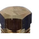 Bujao Fixacao Ar Com Rosca Rapanui 1/4'' Bs1 Bs1