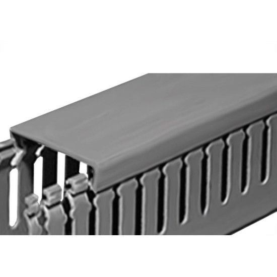 Canaleta Pvc Elesys Dnd 50A X 30B 2M 67