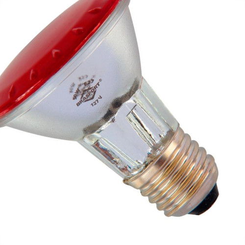 Lampada Halogena Par 20 Brasfort 50W X 127V Vermelha 7289 Lampada Halogena Par 20 Brasfort 50W X 127V Vermelha 7289